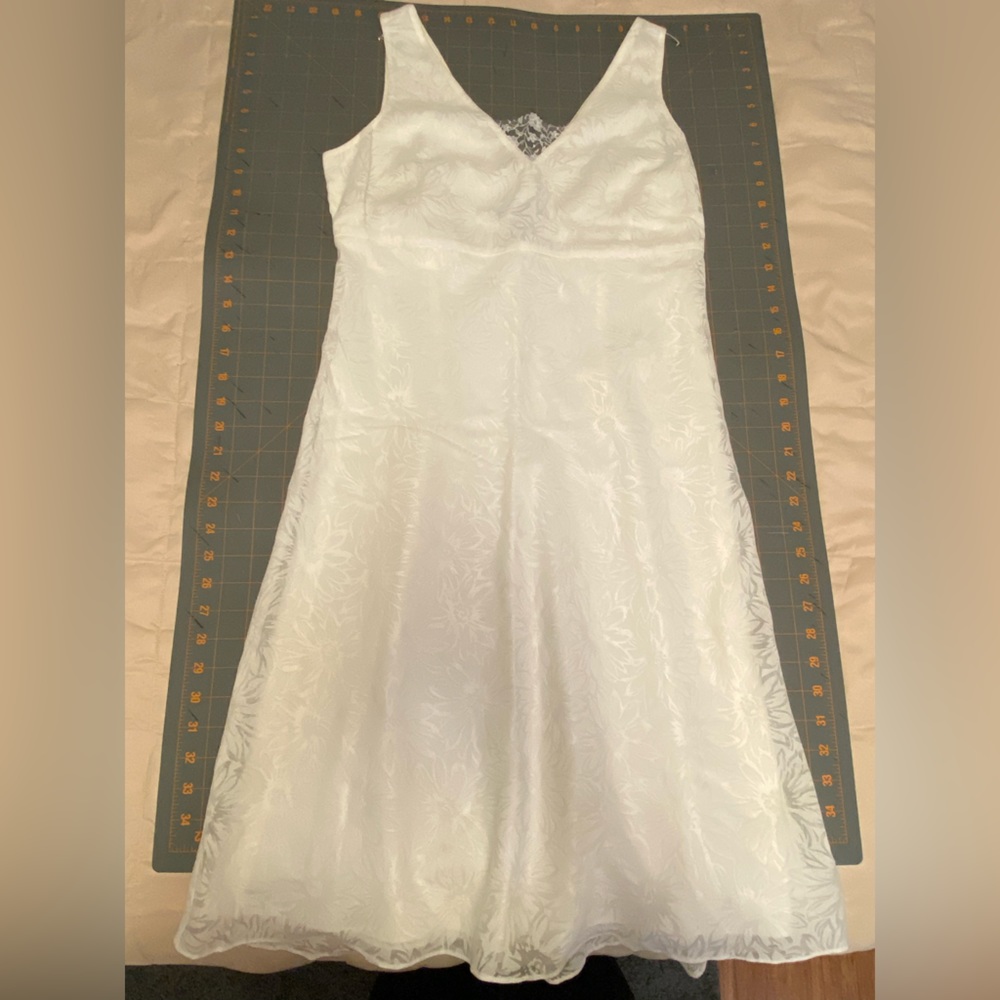Ann Taylor vintage lace sheer dress.